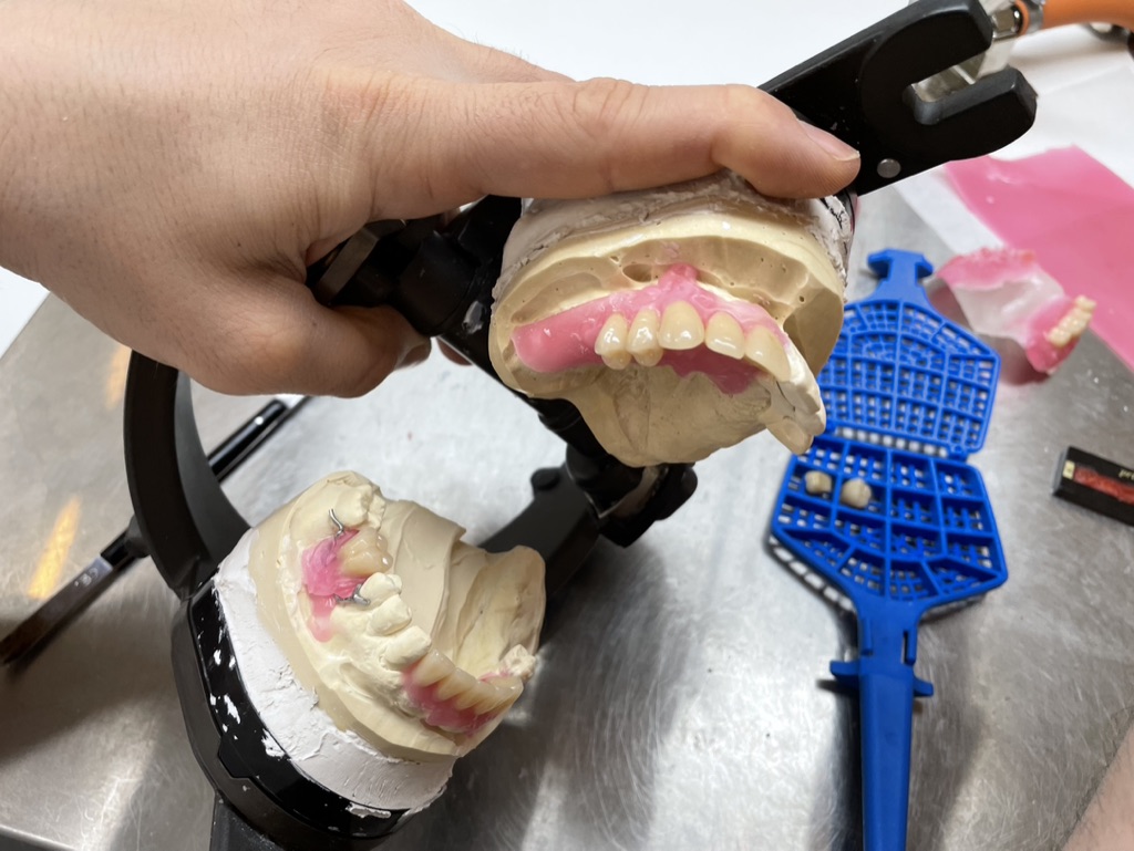 Ganium Klinisk Tandtekniker Tandopstilling 2