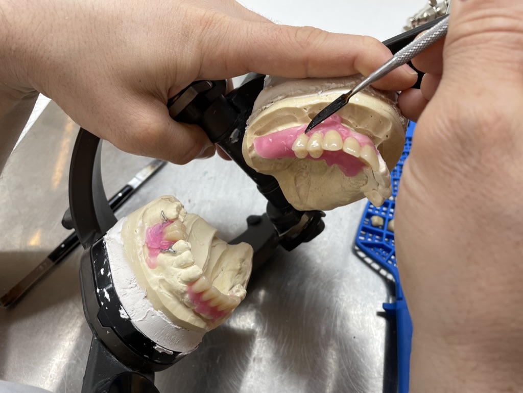 Ganium Klinisk Tandtekniker Tandopstilling 12